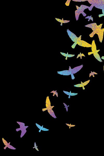 Alberto Perez: Birds Colorful by Alberto Perez