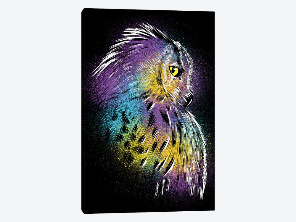 Sketch Owl Colorful by Alberto Perez 1-piece Canvas Art