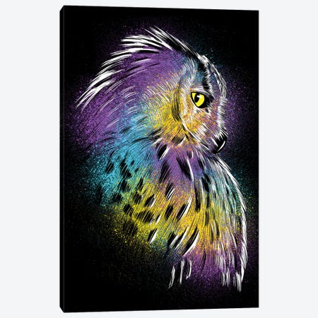 Sketch Owl Colorful Canvas Print #APZ184} by Alberto Perez Canvas Art Print