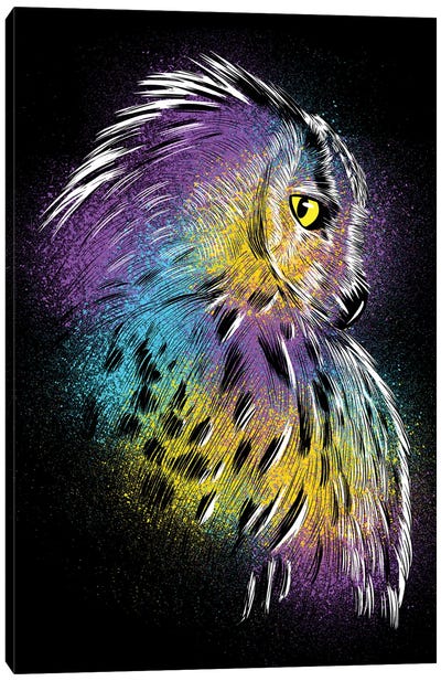 Sketch Owl Colorful Canvas Art Print - Alberto Perez