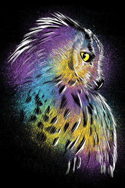 Alberto Perez: Sketch Owl Colorful by Alberto Perez
