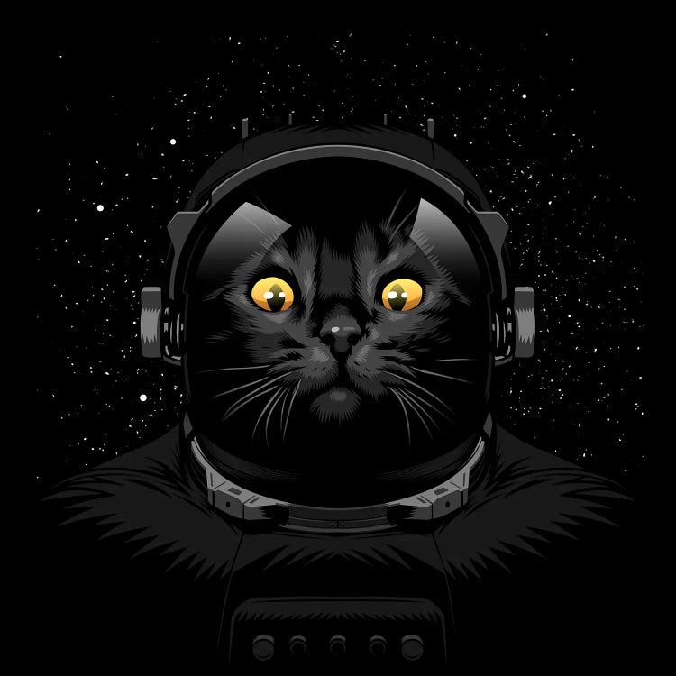 Cat Astronaut