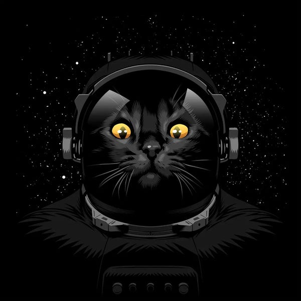 Alberto Perez: Cat Astronaut by Alberto Perez