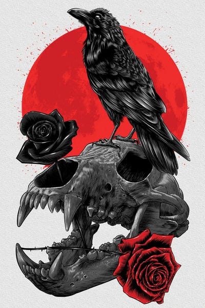 Raven Skull by Alberto Perez canvas print