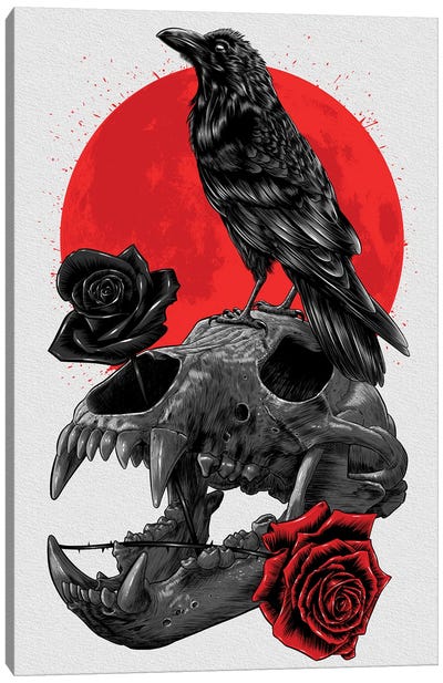 Raven Skull Canvas Art Print - Alberto Perez
