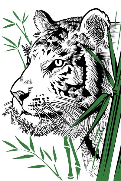 Tigers: Bamboo Tiger by Alberto Perez