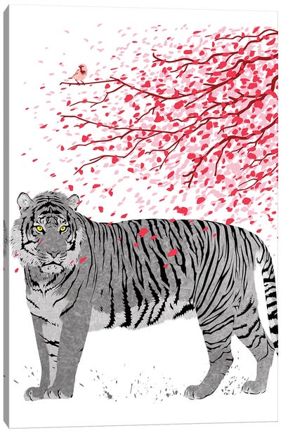 Cherry Tree Tiger Canvas Art Print - Alberto Perez