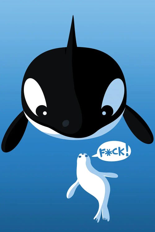 Killer Whale And Seal