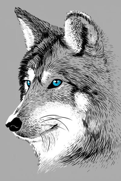 Alberto Perez: Sketch Wolf by Alberto Perez