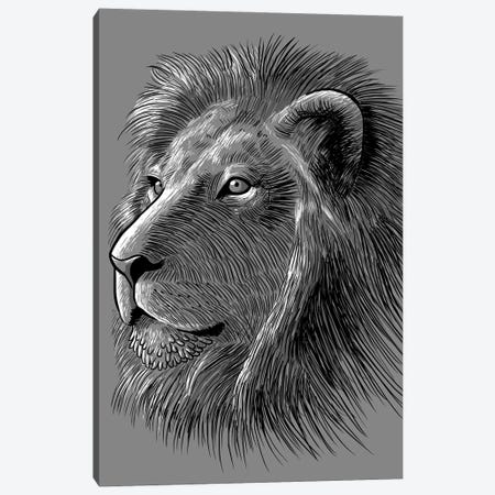 Sketch Lion Canvas Print #APZ240} by Alberto Perez Art Print