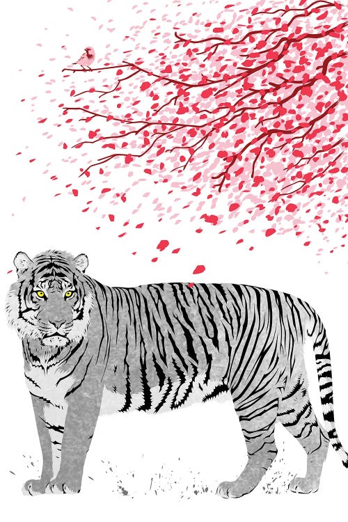 Cherrytree Tiger