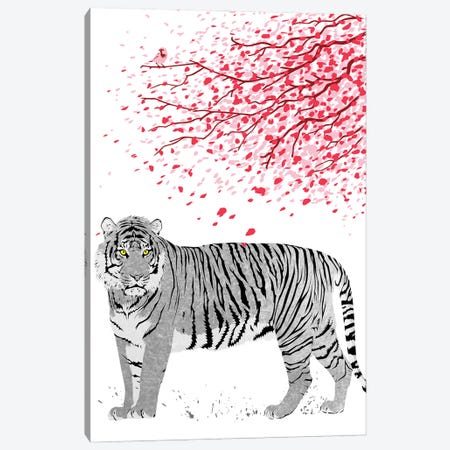 Cherrytree Tiger Canvas Print #APZ243} by Alberto Perez Art Print