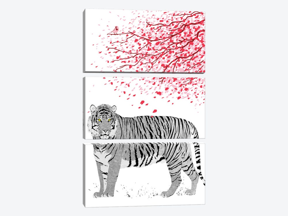 Cherrytree Tiger by Alberto Perez 3-piece Canvas Print