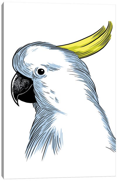 Sketch Parrot Canvas Art Print - Alberto Perez