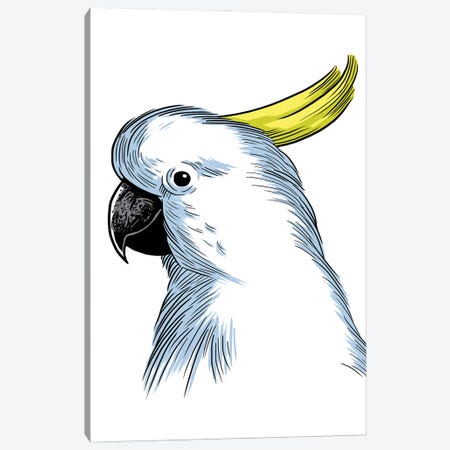 Sketch Parrot Canvas Print #APZ244} by Alberto Perez Canvas Artwork