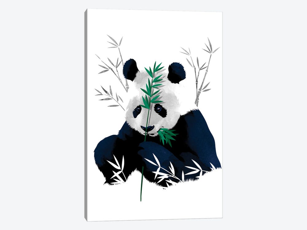 Bambo Panda by Alberto Perez 1-piece Canvas Art Print