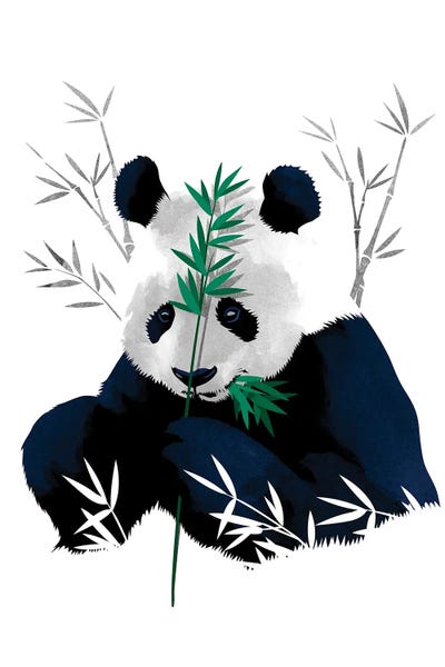 Pandas: Bambo Panda by Alberto Perez