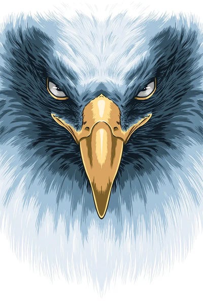 Alberto Perez: White Eagle by Alberto Perez