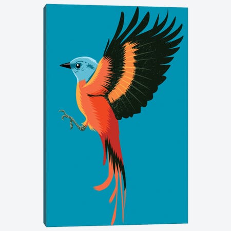Orange Bird Canvas Print #APZ33} by Alberto Perez Art Print