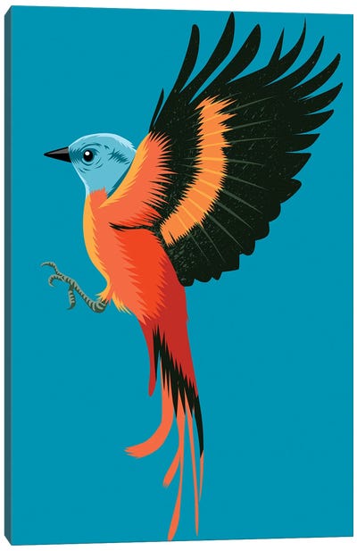 Orange Bird Canvas Art Print - Alberto Perez