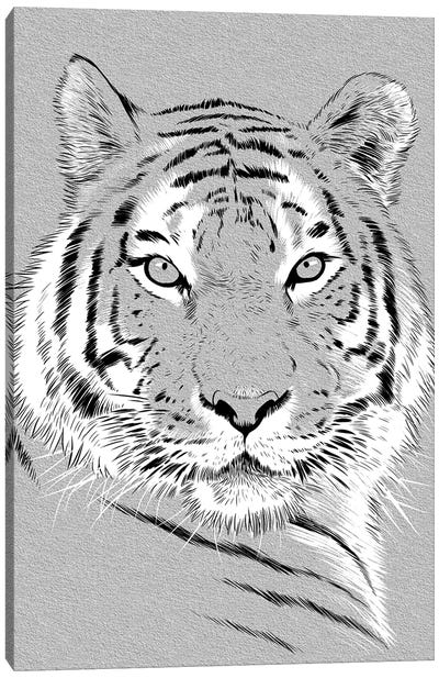 Tiger Sketch Canvas Art Print - Alberto Perez