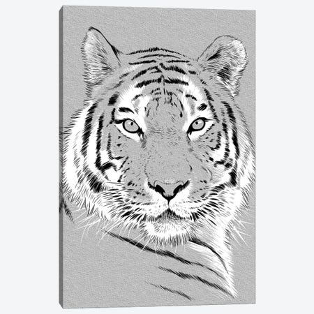 Tiger Sketch Canvas Print #APZ343} by Alberto Perez Canvas Art