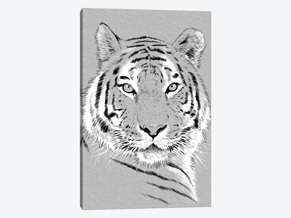Tiger Sketch by Alberto Perez 1-piece Canvas Art