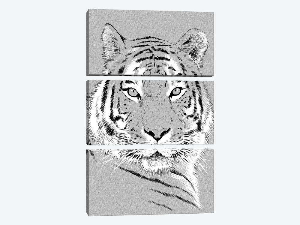 Tiger Sketch by Alberto Perez 3-piece Canvas Art