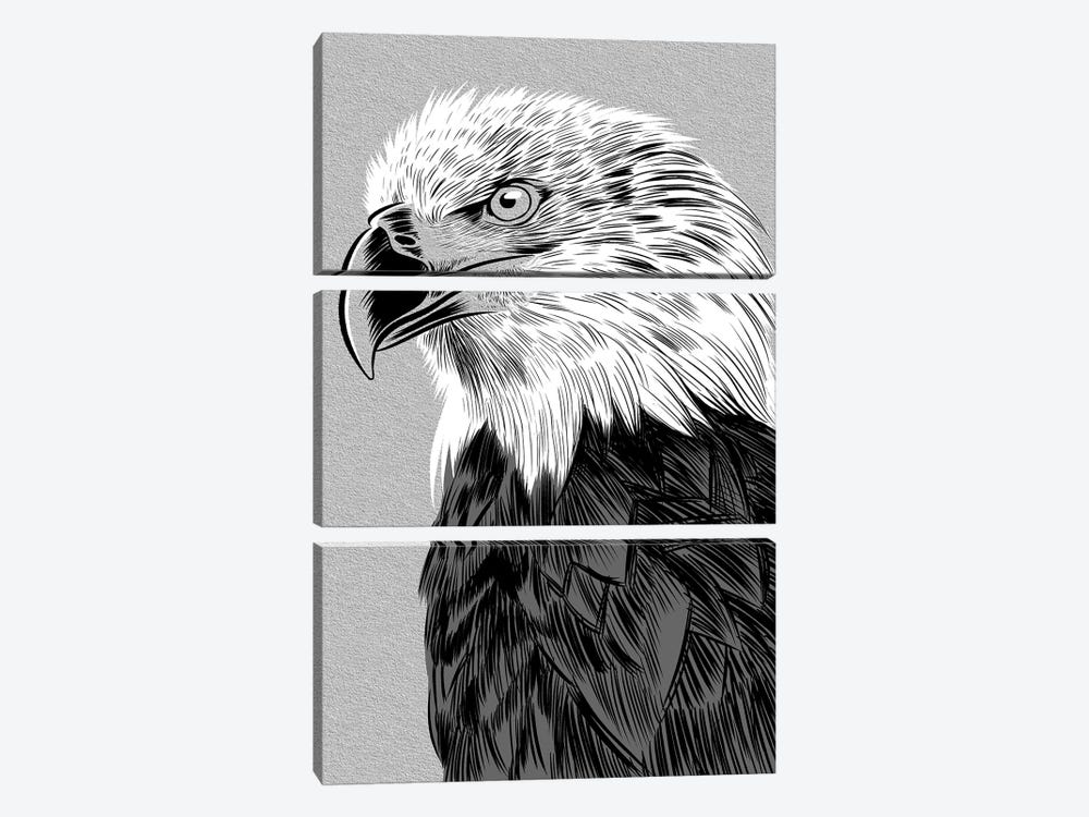 Eagle Sketch by Alberto Perez 3-piece Canvas Print