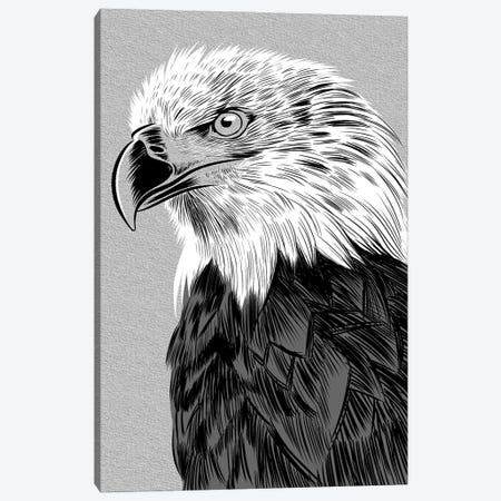 Eagle Sketch Canvas Print #APZ344} by Alberto Perez Canvas Art Print