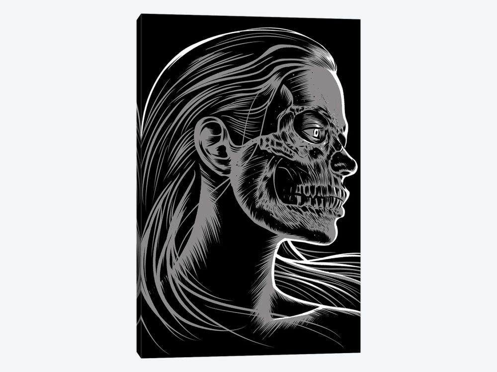 Girl Skull by Alberto Perez 1-piece Canvas Artwork
