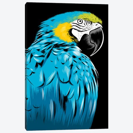 Blue Parrot Canvas Print #APZ347} by Alberto Perez Art Print