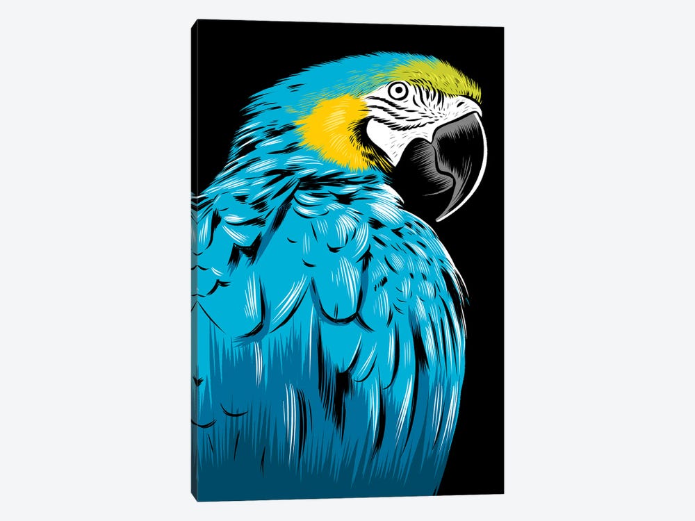 Blue Parrot by Alberto Perez 1-piece Canvas Artwork