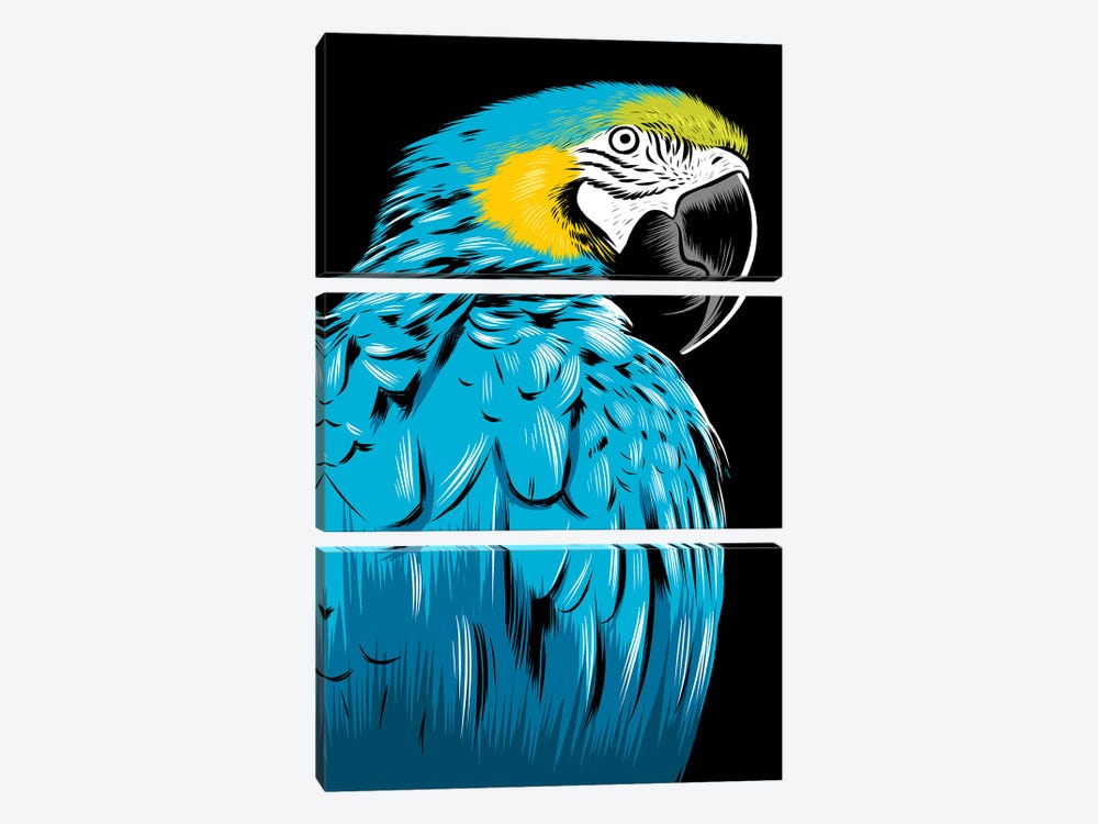 Blue Parrot by Alberto Perez 3-piece Canvas Wall Art