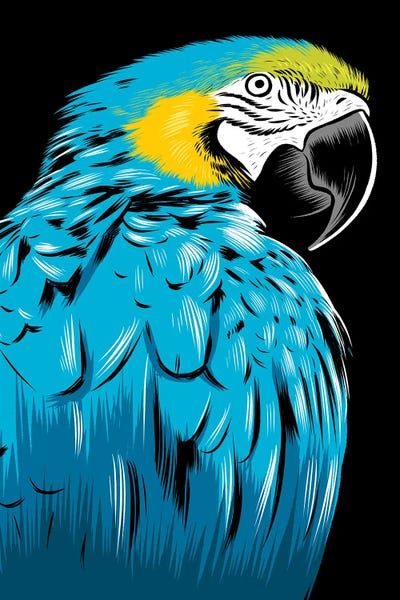 Parrots: Blue Parrot by Alberto Perez