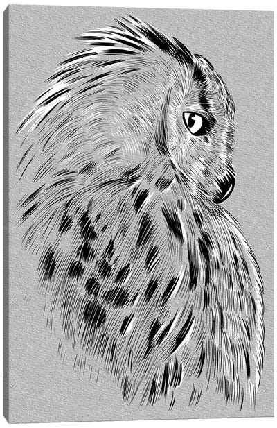 Owl Sketch Canvas Art Print - Alberto Perez