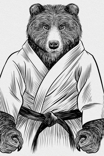 Alberto Perez: Grizzly Bear Judo by Alberto Perez
