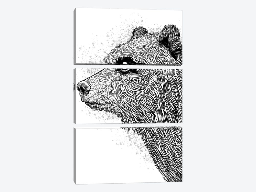 Sketch Bear Brizzly by Alberto Perez 3-piece Canvas Artwork