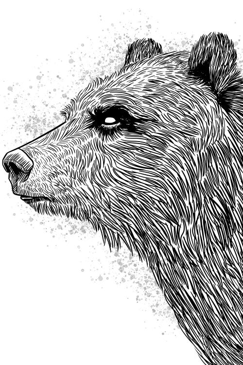 Sketch Bear Brizzly by Alberto Perez wall art