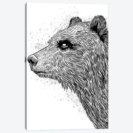 Sketch Bear Brizzly Canvas Print #APZ356} by Alberto Perez Canvas Wall Art