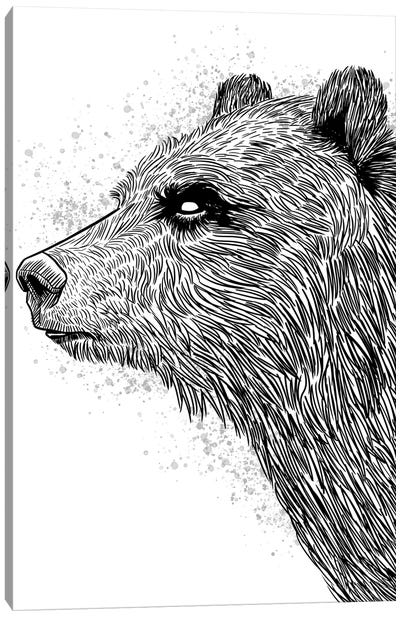 Sketch Bear Brizzly Canvas Art Print - Grizzly Bear Art
