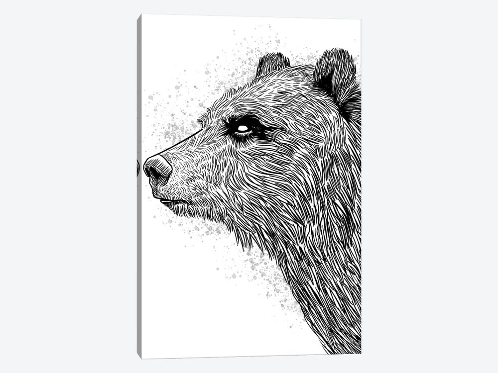Sketch Bear Brizzly by Alberto Perez 1-piece Canvas Wall Art