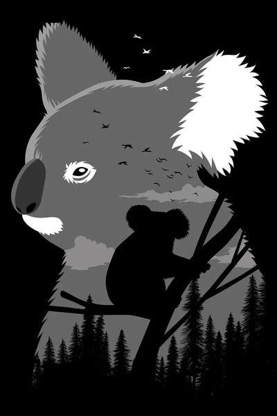 Alberto Perez: Koala Australia by Alberto Perez