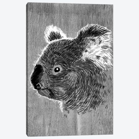 Koala Sketch Canvas Print #APZ375} by Alberto Perez Canvas Wall Art