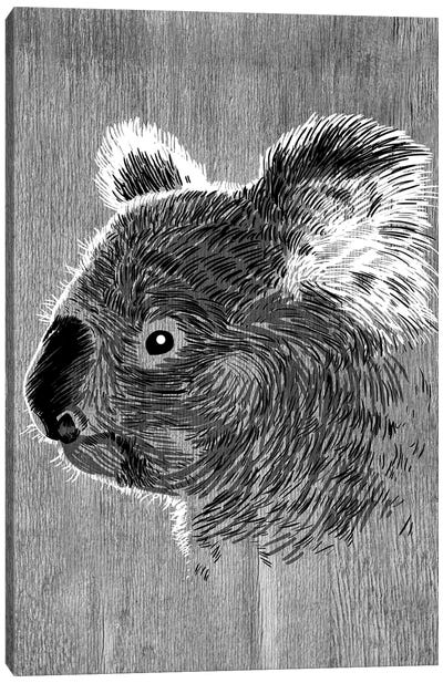 Koala Sketch Canvas Art Print - Koala Art