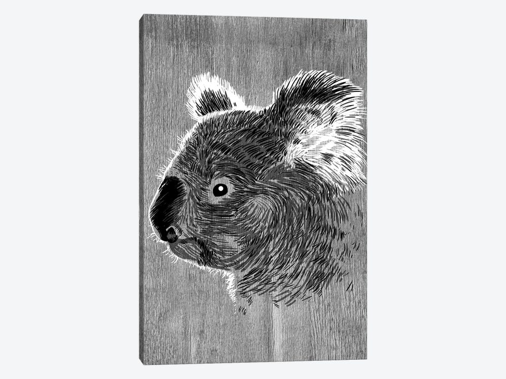 Koala Sketch by Alberto Perez 1-piece Canvas Art Print