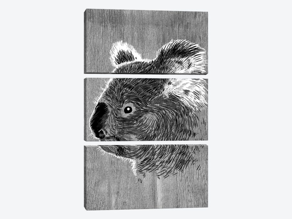 Koala Sketch by Alberto Perez 3-piece Art Print