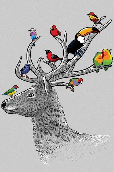 Deer Tropical Birds by Alberto Perez canvas print