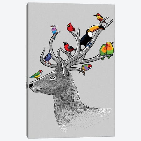 Deer Tropical Birds Canvas Print #APZ45} by Alberto Perez Canvas Print