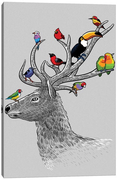 Deer Tropical Birds Canvas Art Print - Alberto Perez